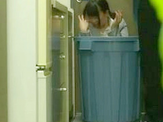 Fucking Nippon Porn will Raise your Erection to the Nth Degree